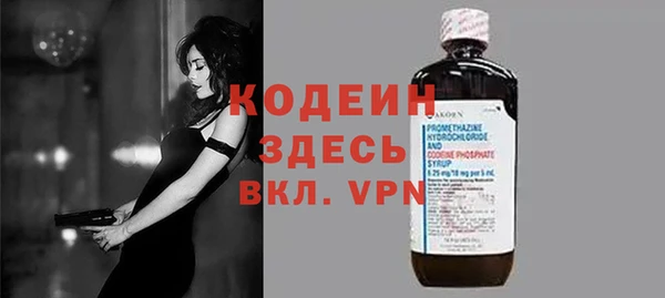 шишки Бородино