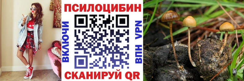 Псилоцибиновые грибы Psilocybe  МЕГА вход  Минусинск 